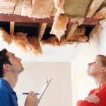 Professional Home Repair