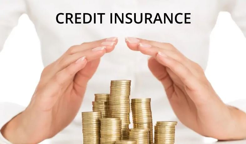 Credit Insurance